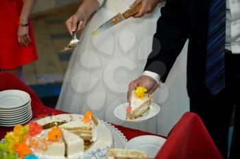 Process of cutting of a pie by the bride and the groom on pieces.