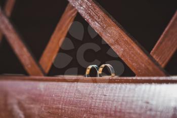 Two rings of the newlyweds on a wooden frame.