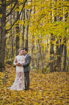 Beautiful portrait of the newlyweds on the background of the autumn forest.