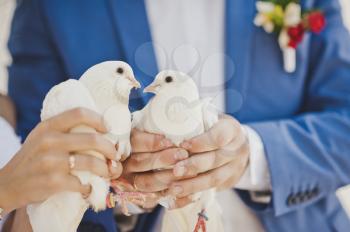 The custom of releasing doves at the ceremony.