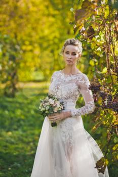 Portrait of a bright young bride amid manicured rows of the vineyard.