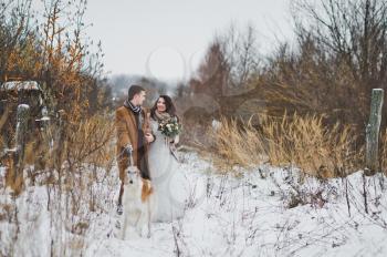 Wedding walk newlyweds on a snowy path leading on a leash Russian Greyhound.