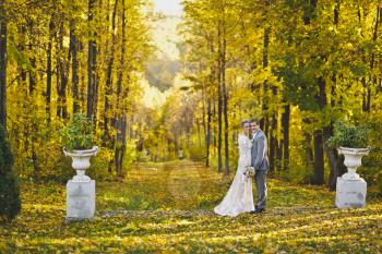Couple between the walls of the autumn forest.