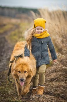 The girl leads leash large red shaggy dog.