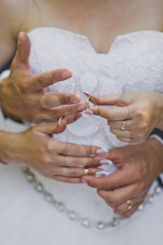 The hands of the newlyweds and wedding rings.