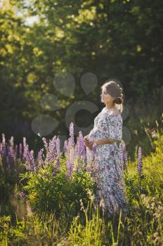 Portrait of a full-length girl on the background of Lupins field.