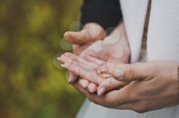 The hands of the newlyweds and wedding rings.
