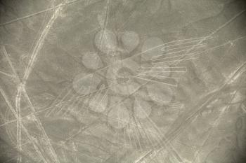 Unesco Heritage: Lines and Geoglyphs of Nazca, Peru - Condor