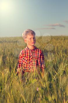 thoughtful boy at sunset in a field of wheat