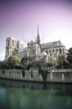 Notre Dame de Paris Cathedral, France. Gradient of two colors Serenity and Rose Quartz.
