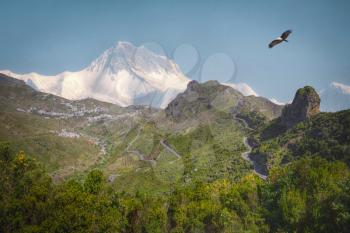 eagle flies over the mountains and roads. Himalayas