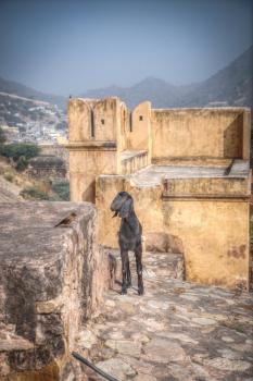 Amber Fort or Amer - fortified residence of Raja in the eponymous northern suburbs of Jaipur, on the crest of a rocky hill behind the lake Maota