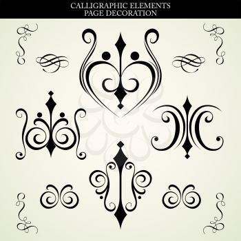 Vector set calligraphic element and page decoration