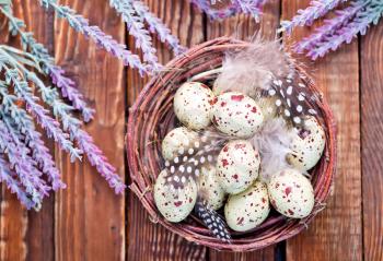 decorative painted Easter eggs, color eggs, easter background
