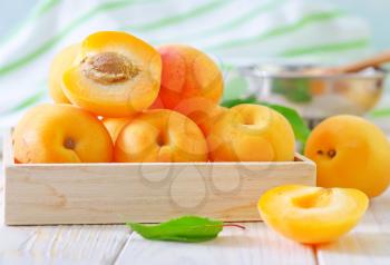 fresh apricots and gam
