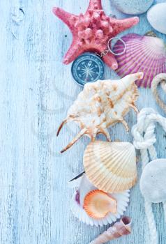 sea shells on the wooden boards, summer background