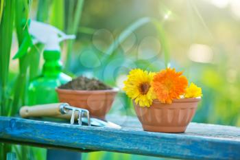 flowers and garden tools on the wooden table