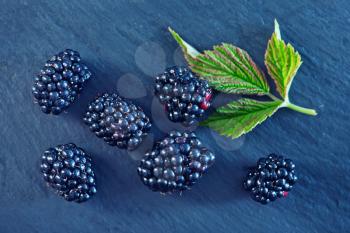frash blackberry on the black table, summer berries