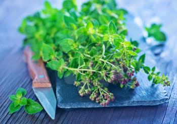 fresh aroma marjoram on the wooden table