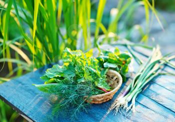 aroma grass on the wooden table, fresh greens
