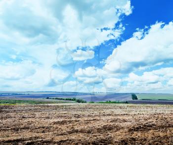 ploughed field with blue sky in Ucraine