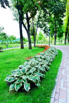 summer park in Ukraine, beautiful green park