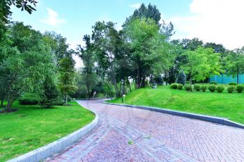 summer park in Ukraine town, Green park