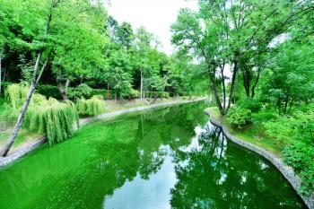 summer park in Ukraine town, Green park