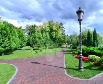 summer green  park, beautiful park in Ukraine