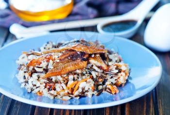 fried eel with rice on the white plate