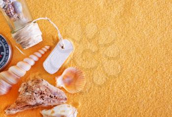 sea shells and stones on the yellow sand