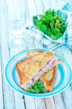 sandwiches with ham and fresh tomato on plate
