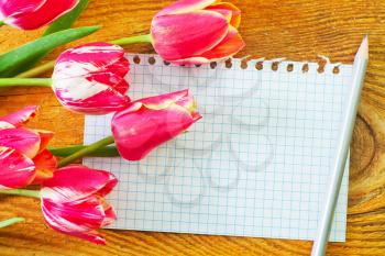 tulips and note