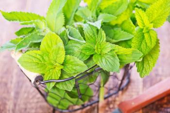 mint on the wooden table, fresh mint