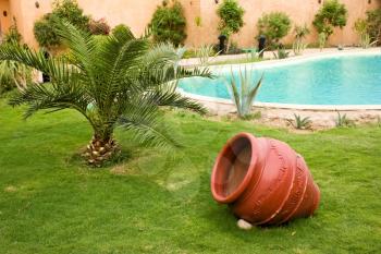 Green grass lawn with palm trees and decorative red pot near the pool with clean water