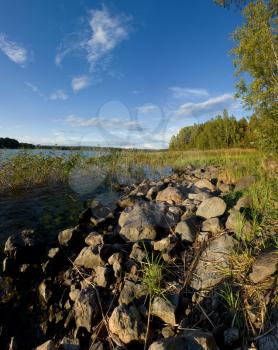 Ladoga lake lakeside in summer sunset light, natural landscape