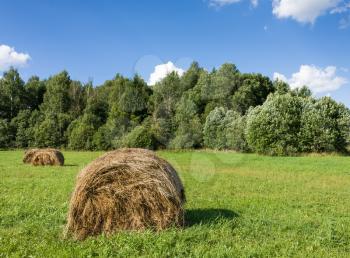 Field with haystacks and green trees under blue sky with white clouds under sunlight