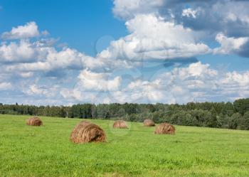Field with haystacks and trees near forest under blue sky with white clouds under sunlight.