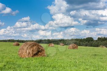 Field with haystacks and trees near the forest under blue sky with white clouds under sunlight.