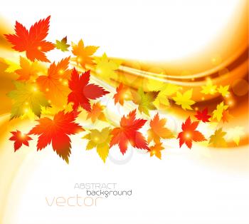 Autumnal leaf of maple and sunlight background