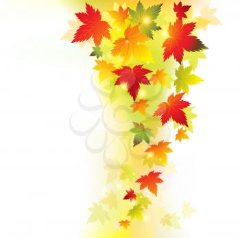 Autumn maple leaves background. Vector illustration. EPS 10