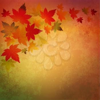Vector illustration  Abstract autumn vintage background with leaves