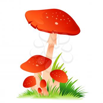 Red Mushroom Amanita with grass isolated on white background