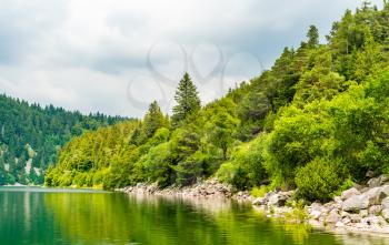 Panorama of Lac Blank, a lake in the Vosges Mountains, France