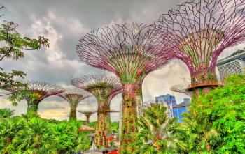 Gardens by the Bay, a nature park in central Singapore