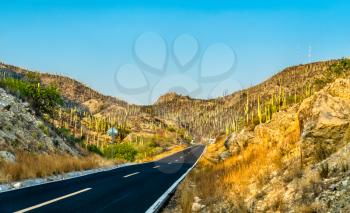 Road through the Tehuacan-Cuicatlan Biosphere Reserve, UNESCO world heritage in Mexico