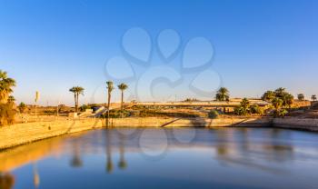 The Sacred Lake in the Precinct of Amun-Re - Luxor, Egypt
