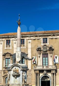 Elephant Fountain and the City Hall of Catania - Sicily, Italy
