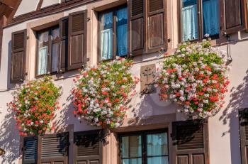 Flowers on the facade of a traditional half-timbered house in Saint-Hippolyte village - Alsace, France