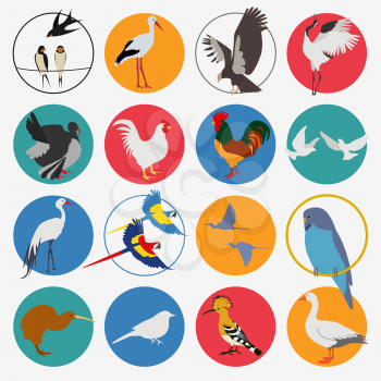 Birds icon set. Vector flat style. Vector illustration
